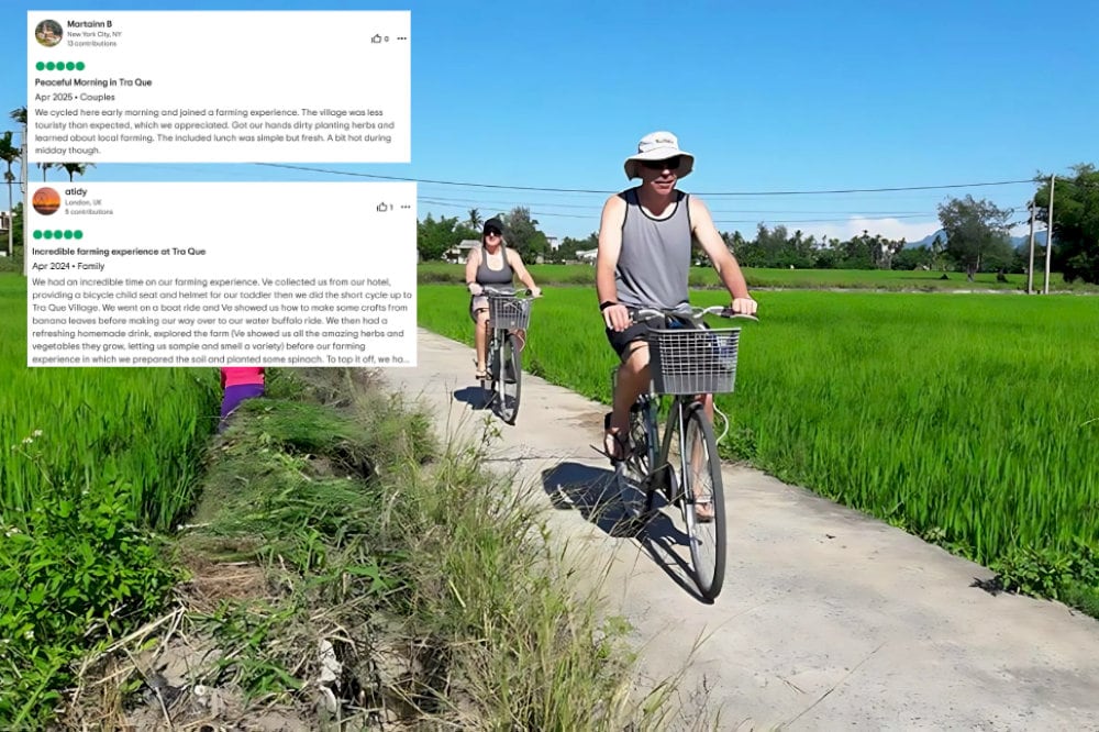 You’ll be surrounded by endless green fields and traditional gardens 